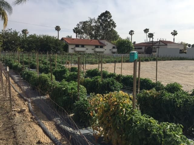Orange County land